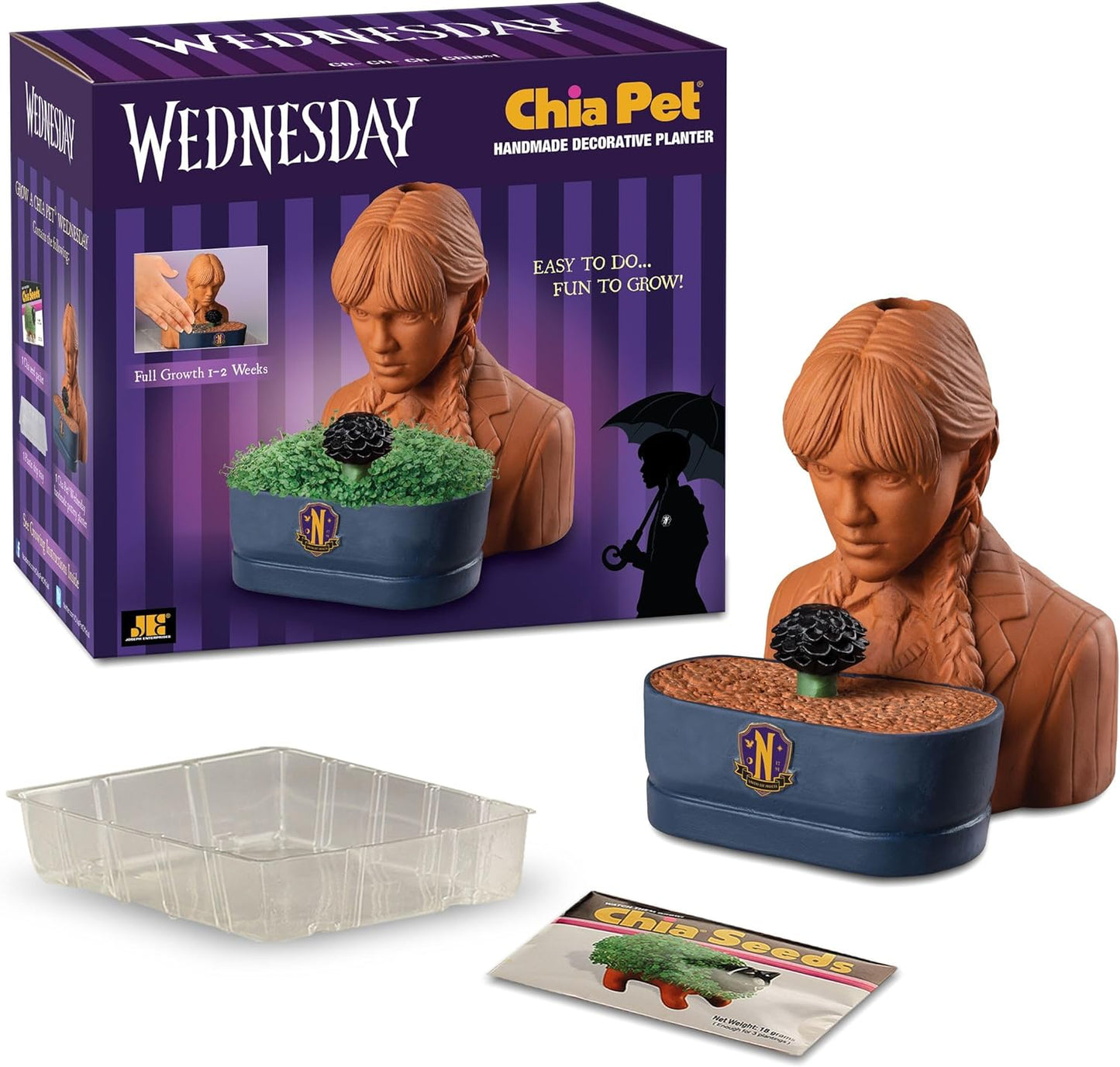 Wednesday Chia Pet with Seed Pack