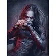 The Crow 500-Piece Puzzle