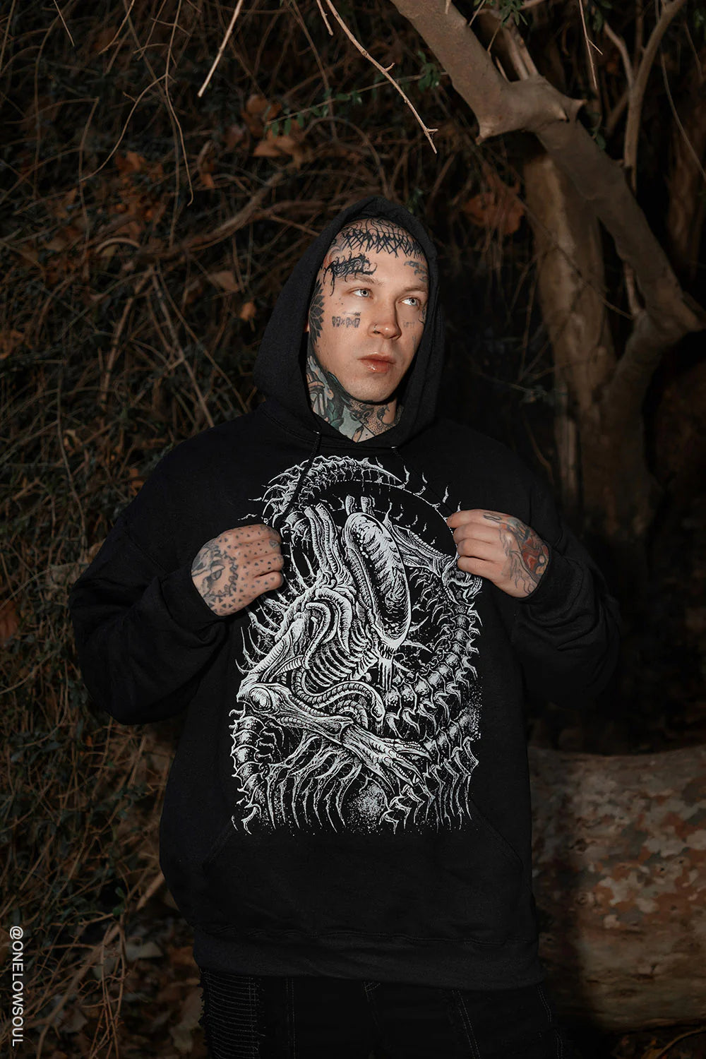 Alien Abduction Hoodie